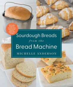Sourdough Breads from the Bread Machine : 100 Surefire Recipes for Everyday Loaves, Artisan Breads, Baguettes, Bagels, Rolls, and More (Paperback)
